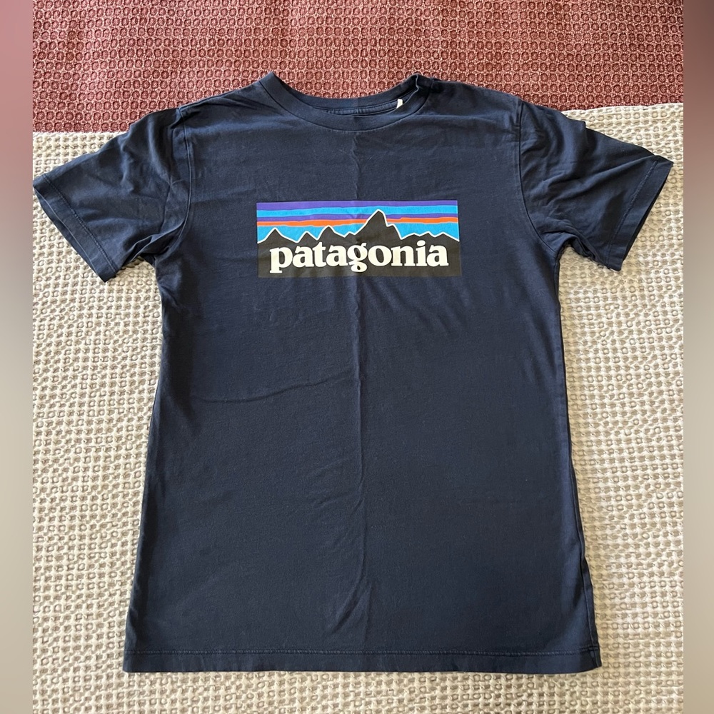 Patagonia tshirt
